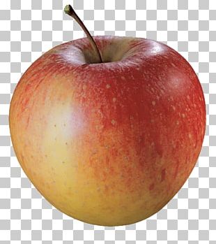 Mcintosh Apple PNG Images, Mcintosh Apple Clipart Free Download