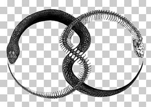 Ouroboros Tattoo Drawing Snake PNG