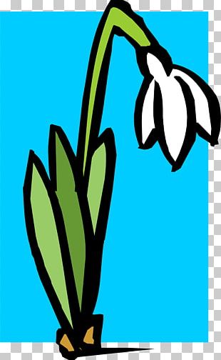 Snowdrop March 1 MÄƒrÈ›iÈ™or Martenitsa Spring PNG