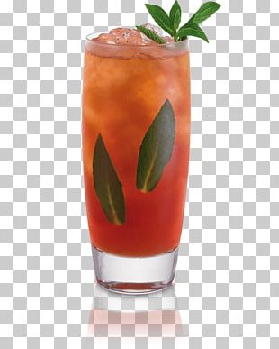 Cocktail Bay Breeze Mai Tai Zombie Harvey Wallbanger PNG, Clipart ...