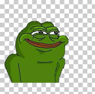 Pepe The Frog Internet Meme Humour PNG, Clipart, 4chan, Amphibian ...