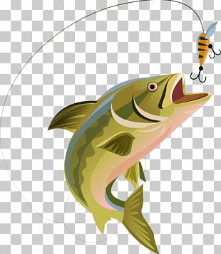 Fishing Clash: Bass Fishing 3D. Fish Hunting Games Catch big fish