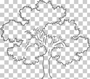 Oak Tree Drawing PNG, Clipart, Angel Oak, Black And White, Branch ...