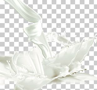 Cows Milk Powdered Milk PNG