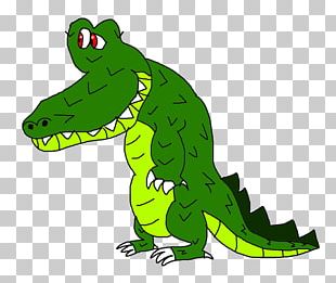 Toad Frog Reptile Animal PNG