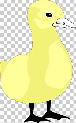 Duck Yellow Cartoon Ducks, Geese And Swans Bird PNG, Clipart, Bath Toy ...