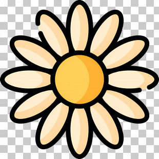 Daisy Flower - Yellow Flower Illustration With Petals PNG