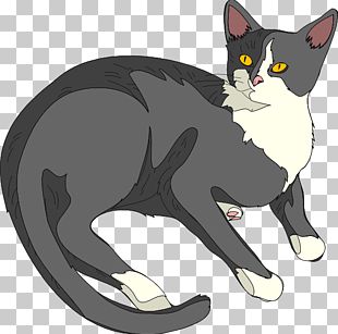 Cat Kitten PNG
