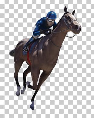 Horse Racing Belmont Stakes Gulfstream Park PNG, Clipart, Animals ...