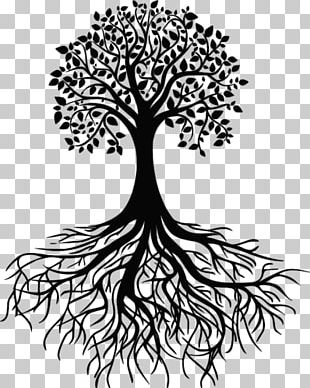 Tree Trunk Drawing PNG, Clipart, Area, Black And White, Branch, Cartoon ...