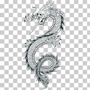 Japanese Dragon Chinese Dragon PNG, Clipart, Ancient, Dragon, Fictional ...