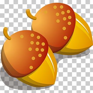 Drawing Mushroom PNG