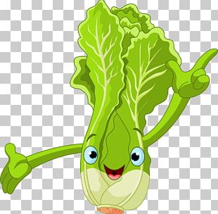 Lettuce Leaf PNG, Clipart, Food, Salads, Vegetables Free PNG Download