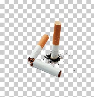 Cigarette Tobacco Pipe Smoke PNG, Clipart, Area, Ashtray, Bird, Body ...