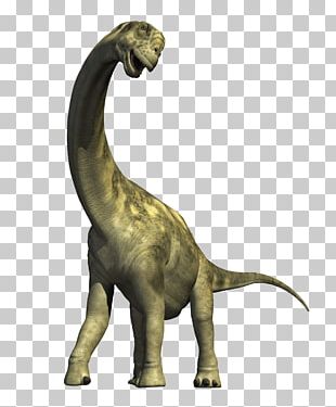 Apatosaurus Tyrannosaurus Dinosaur PNG, Clipart, Animal ...