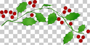Christmas Day PNG