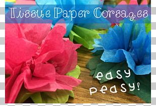 Floral Design Cut Flowers Flowering Plant PNG