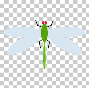 Dragonfly Insect Wing PNG, Clipart, Angle, Chicken, Computer Monitors ...