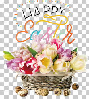Egg PNG