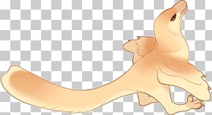 Finger Cartoon Shoe PNG