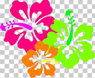 Hawaiian Hibiscus Drawing Png, Clipart, Aloha, Artwork, Cut Flowers 