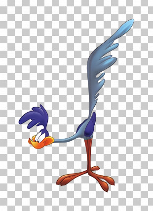 Road Runner - Road Runner Cartoon Bird Design PNG
