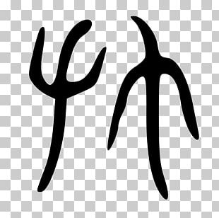 Line White PNG
