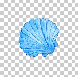 blue seashell clipart free