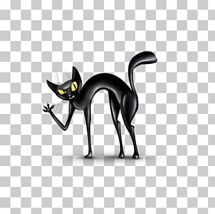 Grumpy Cat Kitten Pet Dog Png, Clipart, Animals, Carnivoran, Cat, Cat 