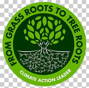 Tree Logo Root PNG