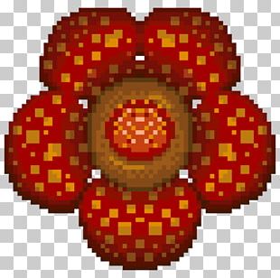 rafflesia png