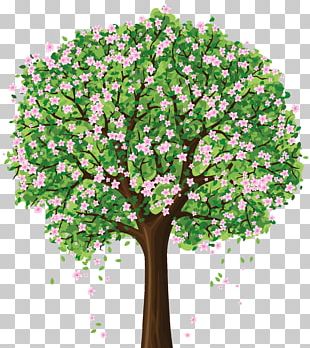 Spring Tree PNG, Clipart, Blossom, Branch, Cdr, Cherry Blossom, Cut ...