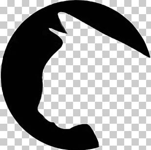 Cat Bitcoin Computer Icons Cryptocurrency PNG