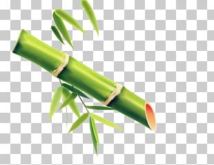 Bamboo Paper Wall Decal PNG
