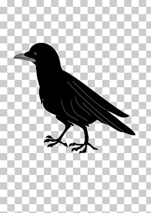 Coat Of Arms Blazon Common Raven PNG