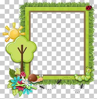 Frames Web Browser Photography PNG