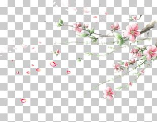 Flower corner png images