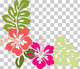 Hawaiian Hibiscus Flower PNG, Clipart, Black And White, Brighamia ...