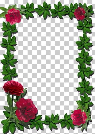 Frames Rose Stock Photography PNG, Clipart, Cut Flowers, Flora, Floral ...