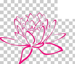 Drawing Line Art Nelumbo Nucifera PNG, Clipart, Area, Art, Artwork ...