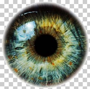 Real Cat Eye Png Cats Eye Png Images Cats Eye Clipart Free Download imgbin com
