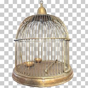 Birdcage Birdcage Brass Wire PNG