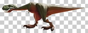 Velociraptor Tyrannosaurus Dinosaur PNG