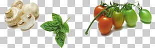 Drawing Vegetable Cherry Tomato Sketch PNG, Clipart, Arrow Sketch ...