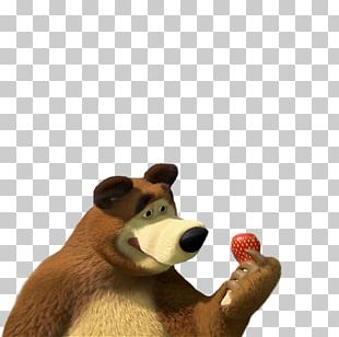 Bear PNG