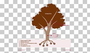 Tree PNG