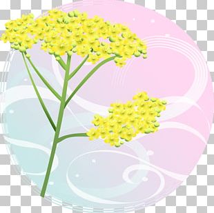 Get Vector Transparent Background Watercolor Flower Png Gif