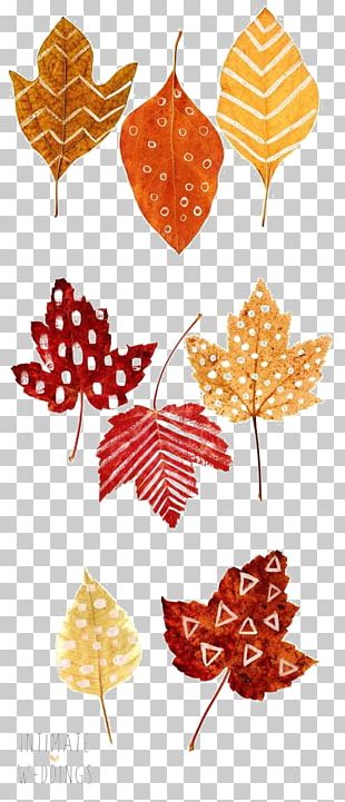 autumn-leaf-color-look-at-leaves-png-clipart-autumn-leaf-color-color