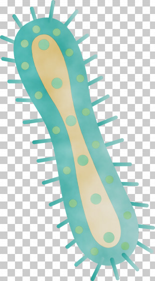 Floral Design PNG