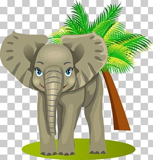 Funny Cars Game For Kids Animals: Learning Spanish Drawing Software PNG